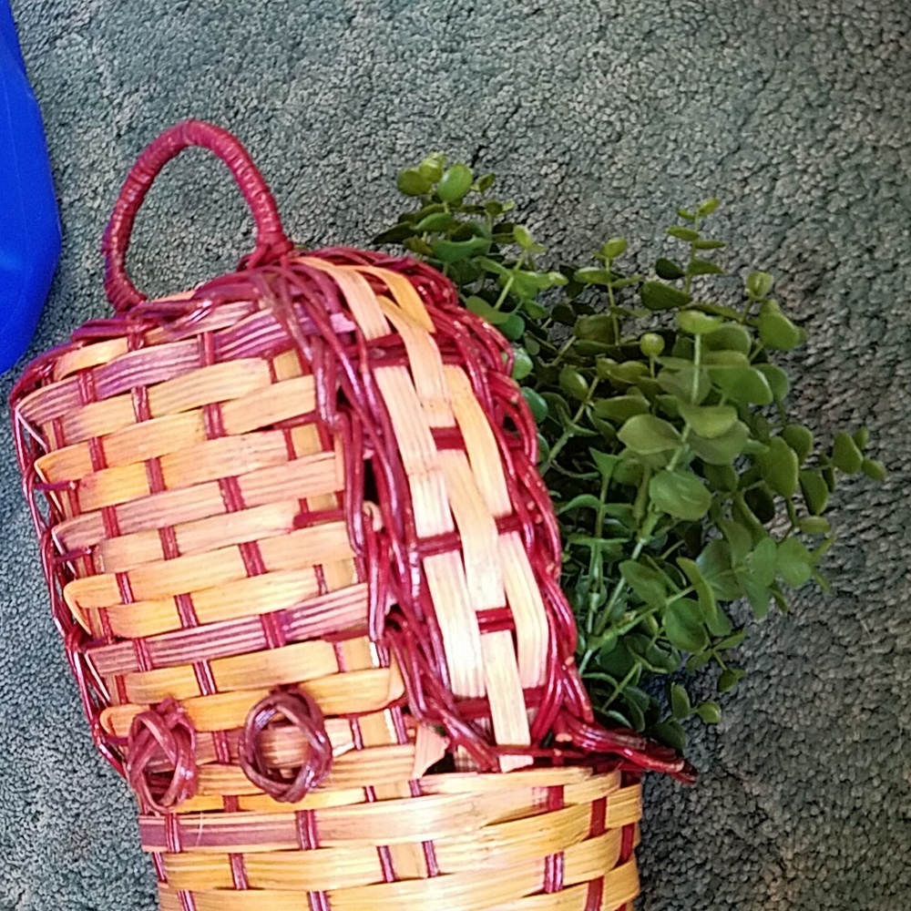 Cornucopia with Greenery - Picture 9 of 12